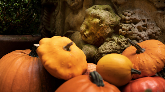 Pumpkin Cart 2