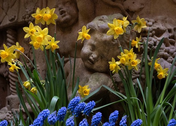 The Witchery Close
