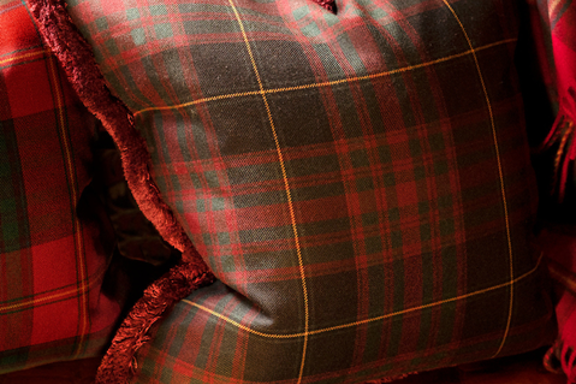 Cushion