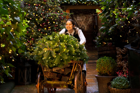 Woman pushing a wooden cart with a Christmas tree on it at The Witchery