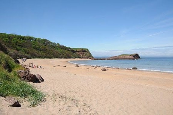 Seacliff